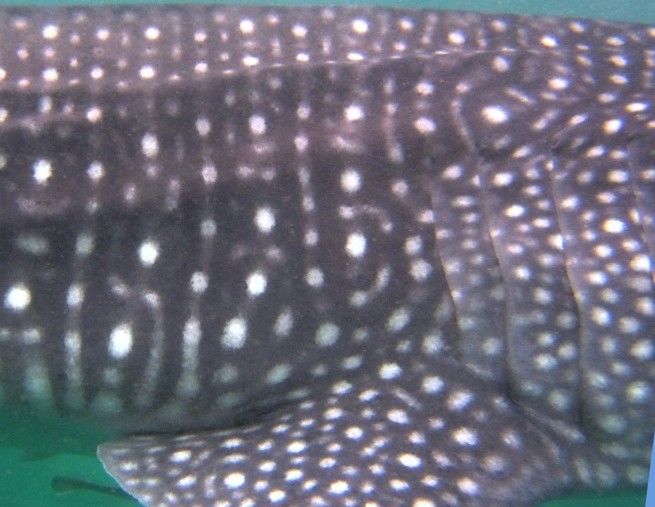 01d8d566-63da-409d-949b-e5b4d45adf03