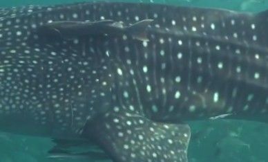 61013948-359f-4606-8d99-c63e9994f872