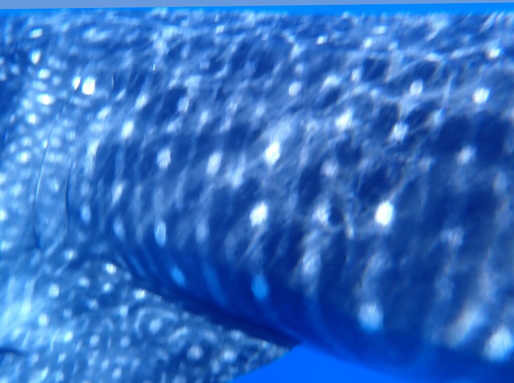 8253c577-914c-4de3-afe4-a70acaa3f3a0