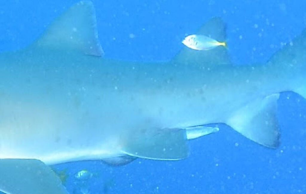 dcfd9883-fffd-41ca-8612-9e57df884228