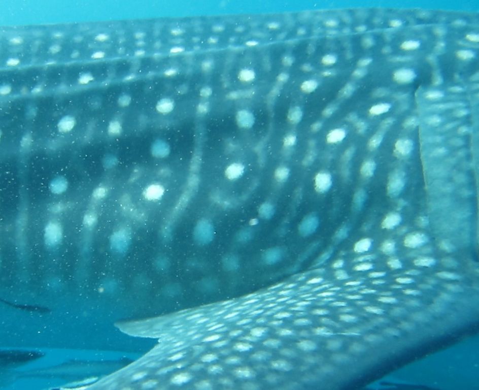 0db923e7-11b6-4963-8c0c-babc6c9de01a