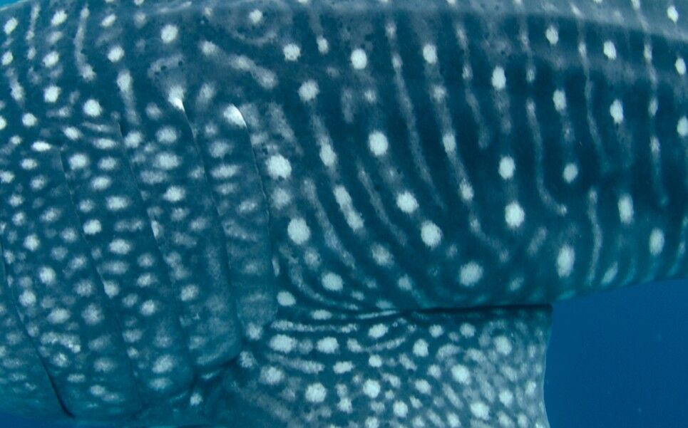 89238175-5fd9-4507-8415-09d15b943255