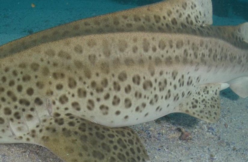 a120f652-9ec0-437c-9eb2-ea69868576e1