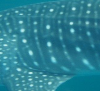 3462b642-0bd3-43a8-9ce7-04d85138cb98