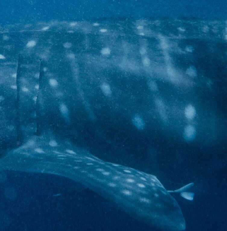 4df7cdca-0ee7-4213-9d86-2df8f8dd045f