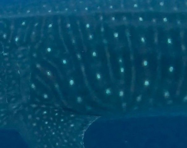 e81a4f73-e916-4205-8412-e7caab898ab7