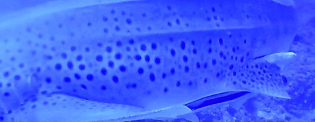 e13b6e51-0224-49cb-b80e-e9e92a43ae94