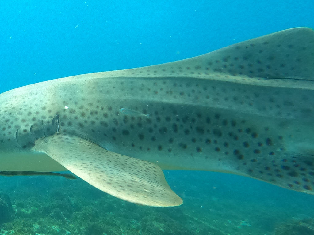 858cf93b-b670-4400-b442-523085d215f8