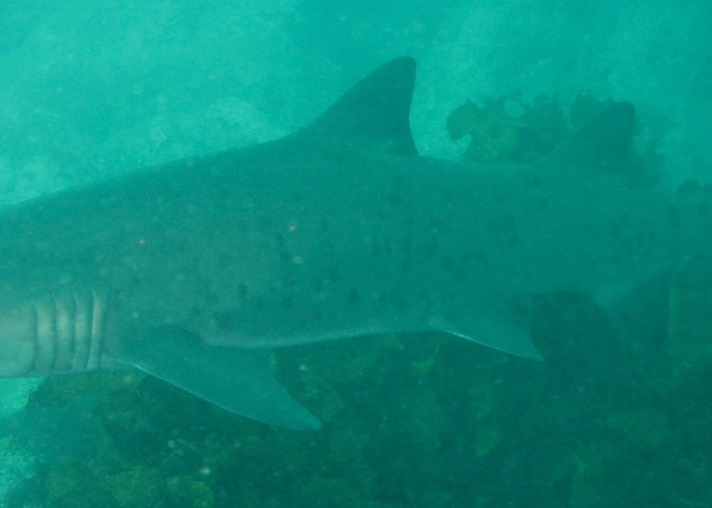 ee267511-f066-49a7-9a6a-b1a8a9e7ed9c