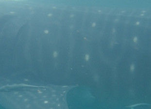 d61665fe-1d4d-4431-82d6-3c2b1b1fd2e8