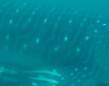 d61665fe-1d4d-4431-82d6-3c2b1b1fd2e8