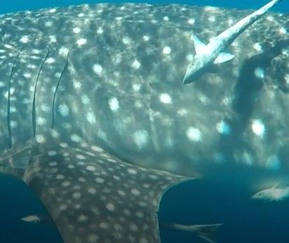 b6b8e562-9b22-47ad-9c68-ebb89b41981a