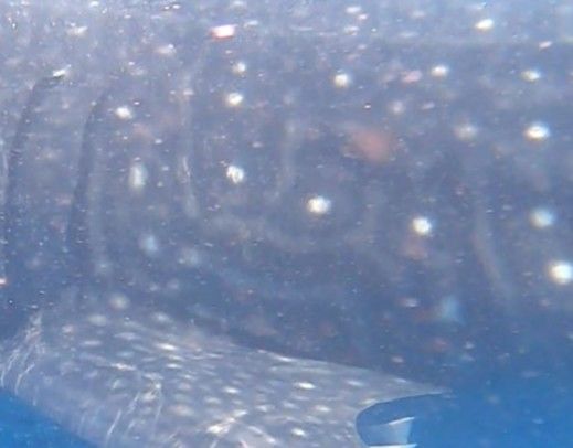 b69aab31-2a48-4dda-a49c-14f0691b3186