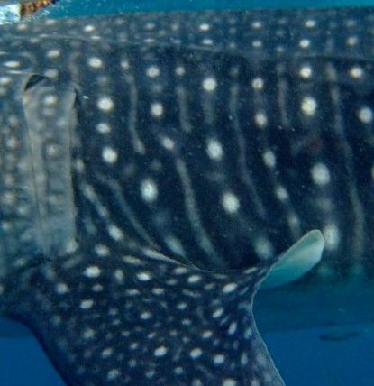 2407d1c7-88b6-40b4-a0a5-66b2c547a409