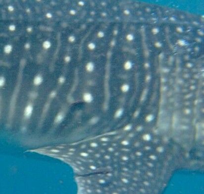 2407d1c7-88b6-40b4-a0a5-66b2c547a409