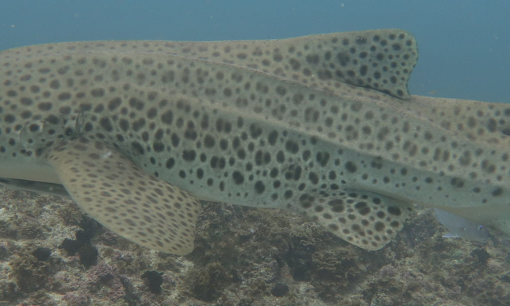 7a52b744-4df5-4e00-8d8f-352f05234c7b