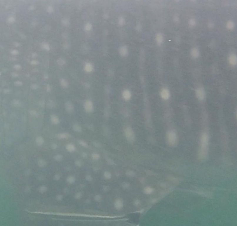 11cdf02d-a89d-4c72-b655-b241bf27a35e