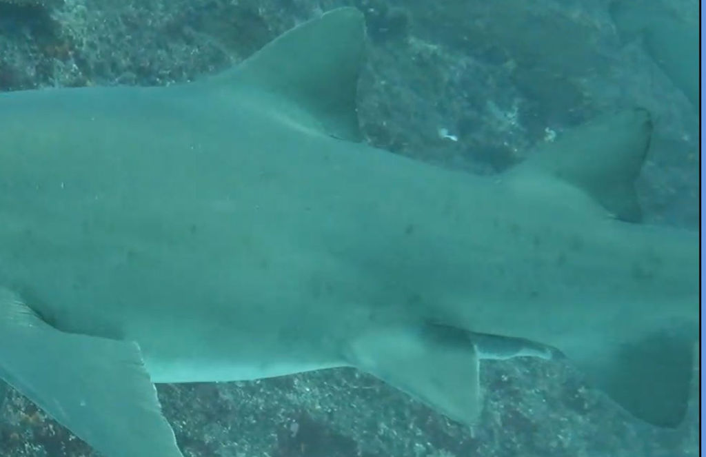 25eb64a1-ea42-49aa-bef5-7404d915fde1