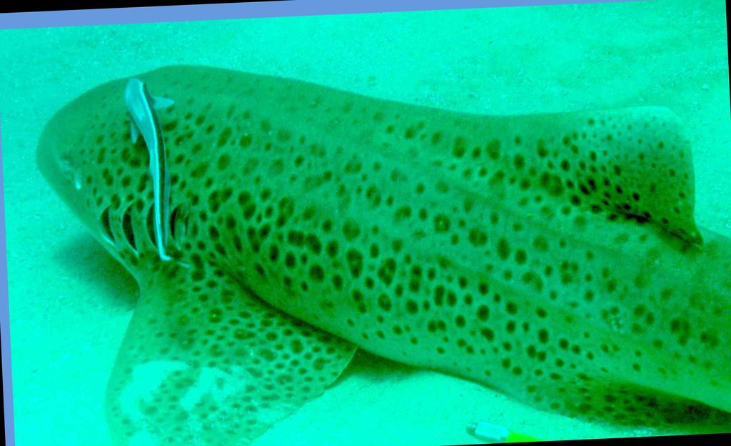 b775d9a8-2131-4fbc-9751-e53bc3f5d190