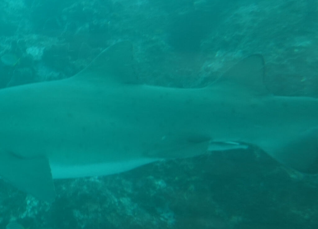 7940193c-518d-437d-962f-a7996138cbed