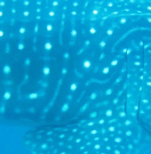 8e33aef3-1a9a-487c-b849-23d5f607f90b