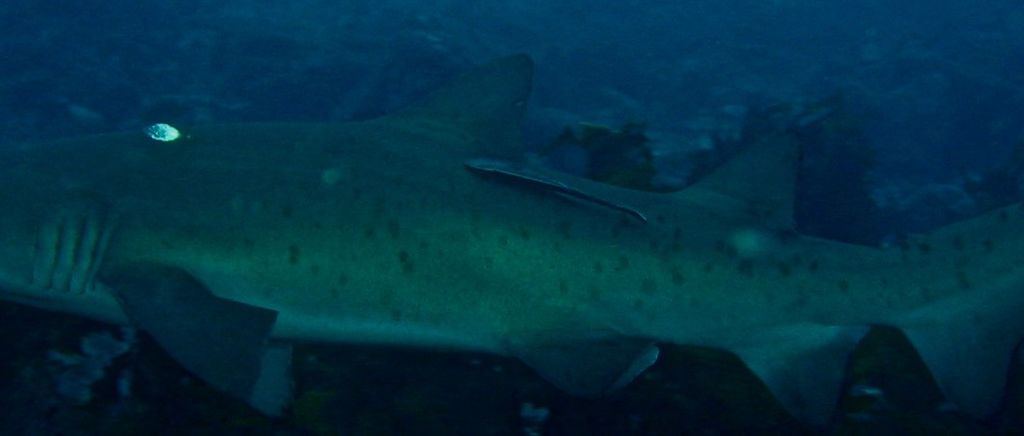 665339dc-4aa6-4b53-8f6c-0b4cbe9bf243