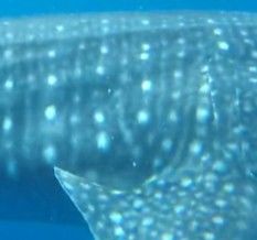 b5a77f0b-1808-4e20-88e0-11f3b9dabfe8