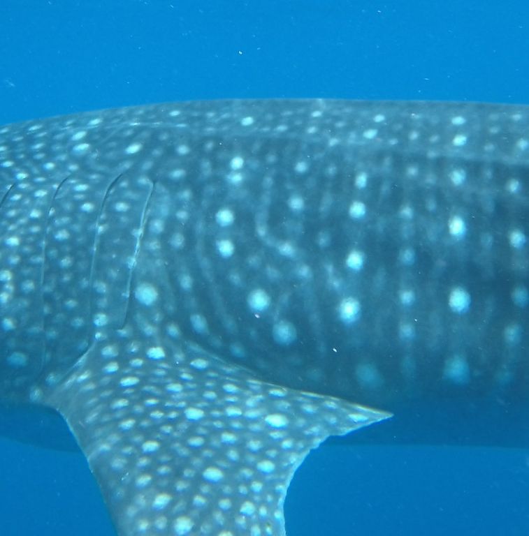 b5a77f0b-1808-4e20-88e0-11f3b9dabfe8