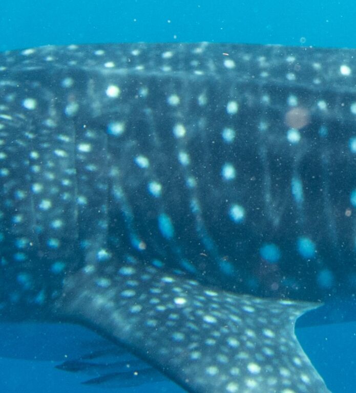 b4b9c729-7475-41f5-ba01-5c016e06495d