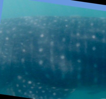 d7e78d4a-336c-47db-ba14-8ff60ffe571d