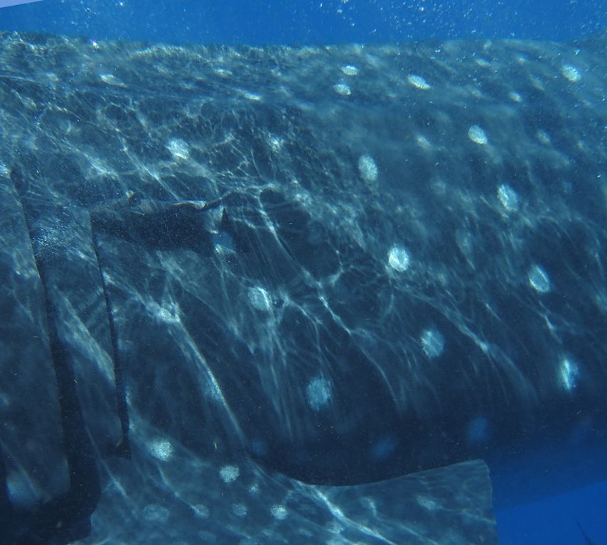 534b3d1f-72a9-4267-92f7-0fbf87b29b89