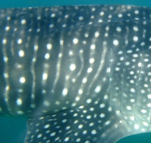 96b13772-1579-4e4d-8664-162a7ab26c52