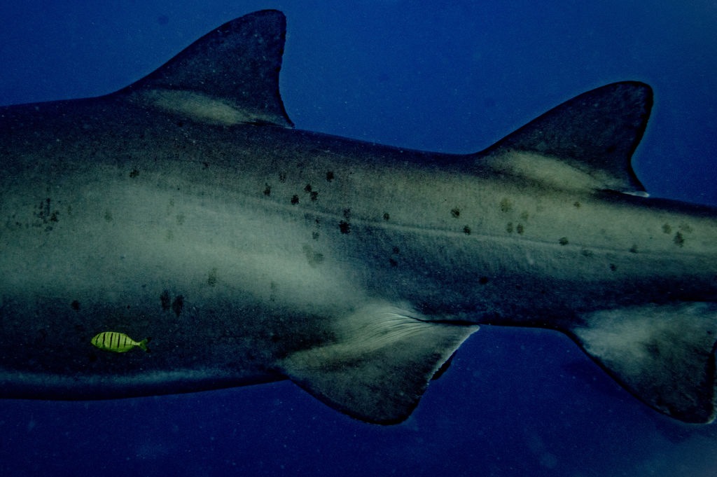 14bc267d-7ec3-4fe4-b62c-c16a8ca5c2f9