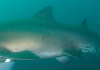 03c467fe-6e05-4247-bedb-c5055a4ab551