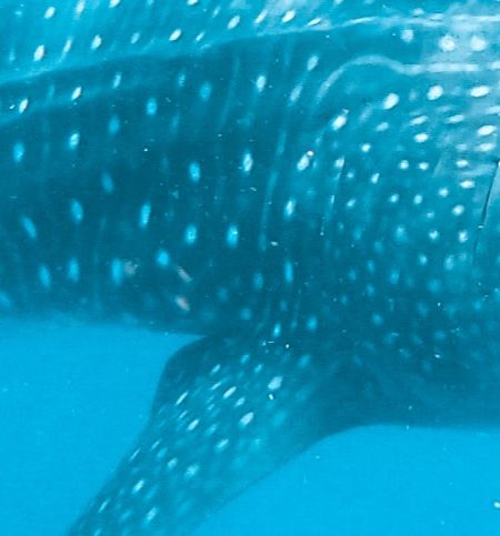 07b7975b-7bb2-48af-8eb6-e47bd445a6b4