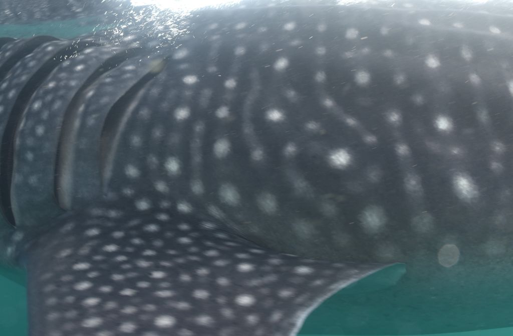 1dddcc69-aef3-4c58-a012-dab308fb817c