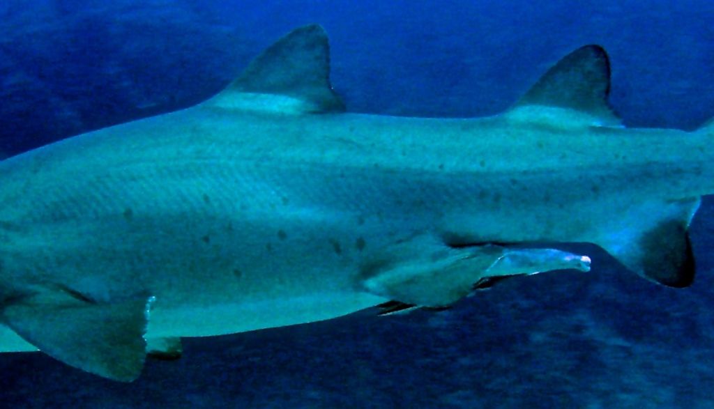 db210ac2-ea29-4469-aa6a-428186d4fcc1