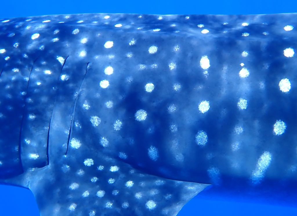 356d3969-ddad-4233-aa33-c8b317fcaeb9