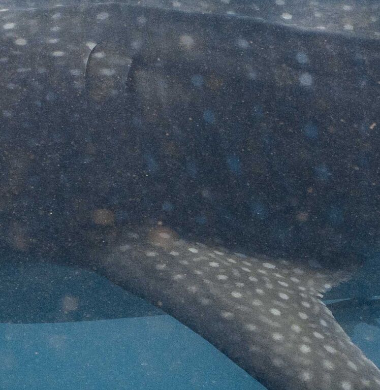 95222eeb-79f9-40f8-a324-5396052207cc