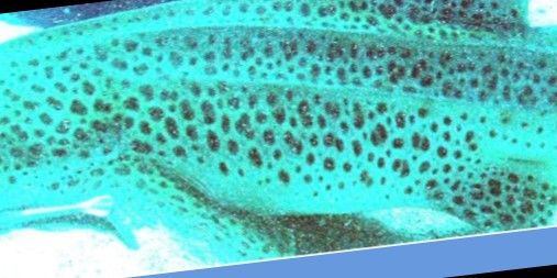 84222c21-c84c-4d42-9e7b-7242f78f3a2d