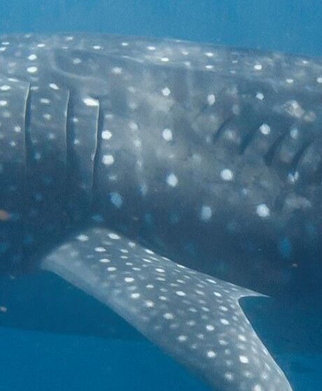 e5d645ab-25d3-410e-9cb5-11a030ada943