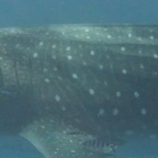 3d1ad150-1273-4376-a990-0674fc9ff09a