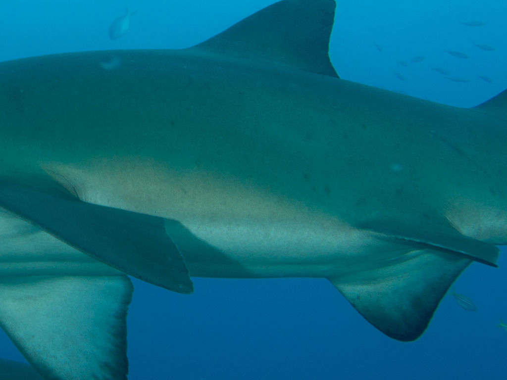 2389a249-db2d-4d71-90a2-f76bd2bf9550