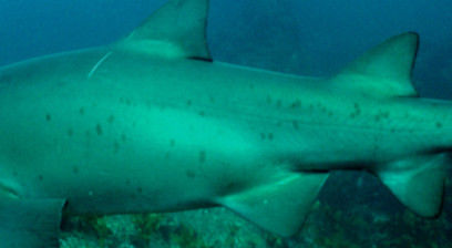 d5f791d4-0da4-477b-981f-c004ec4d3ef9