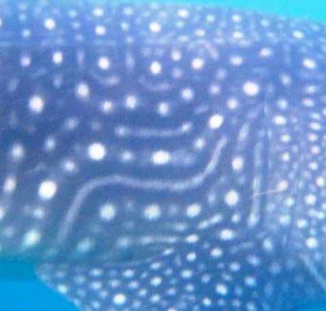 316c8d74-e5e7-4674-8818-681fccf94259