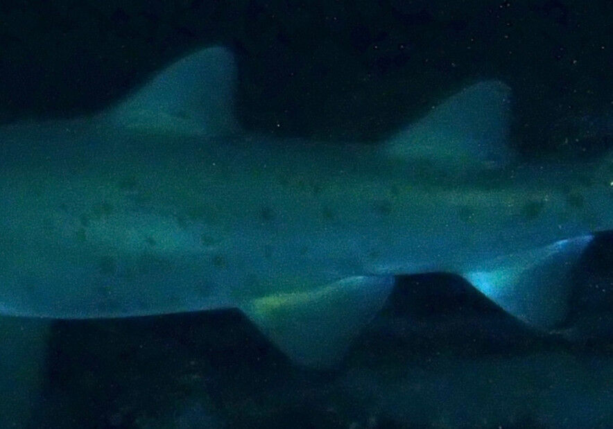 b94d8848-e2e5-4f27-9392-64ce29f21447