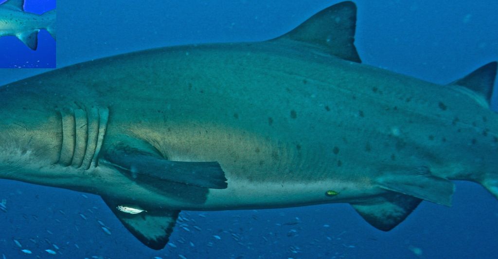 93a89efd-81d3-466d-be04-69cf262fb2b8