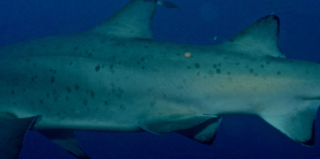 0b25b043-0b73-4ef9-bae9-4fbe8ecfd704