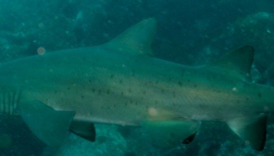 f1be4197-d24d-410b-b9e4-d1ec9d8eb330