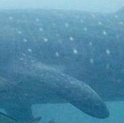 b49a59a7-a702-4db9-9b2e-cd4c66d8e740